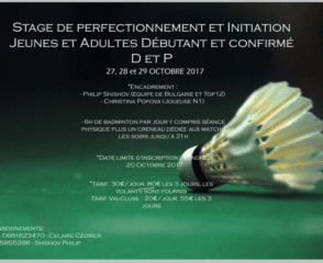 Stages de badminton 2017 à Avignon (84)